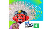 RRI Pro 4
