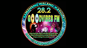 28.2 Goodvibes Fm