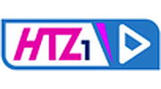 Raudio HTZ1