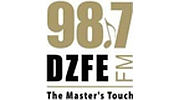 DZFE DZFE logo