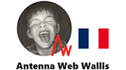 Antenna Web Wallis
