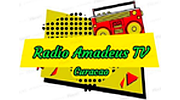 Radio Amadeus