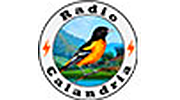 Radio Calandria