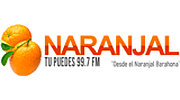Naranjal 99.7 FM Naranjal 99.7 FM logo