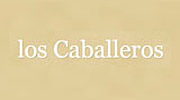 Caballeros  en linea