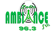 Radio Ambiance Fm 96.1 logo