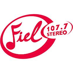 Stereo Fiel logo
