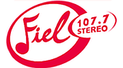 Stereo Fiel