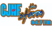 The Storm The Storm logo