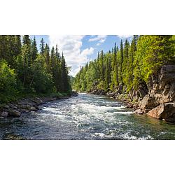 Peaceful Currents Radio