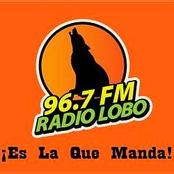 Radio Lobo Bajio