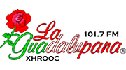 La Guadalupana