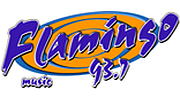 Flamingo Stereo Flamingo Stereo logo