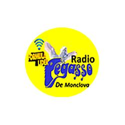 Radio Pegasso De Saltillo