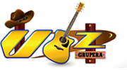 Vozfmgrupera
