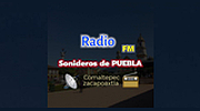 Sonideros De Puebla logo