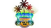 Radio Caribe Stereo logo