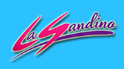 Radio Sandino logo