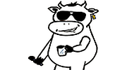 Tillamook Cow