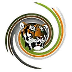 Tiger FM