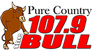 The Bull The Bull logo
