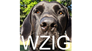 WZIG 104.1 FM logo