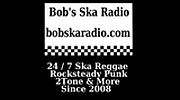 Bob's SKA Radio