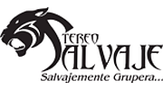 Stereo Salvaje