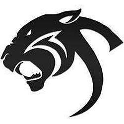 Stereo Salvaje Radio logo