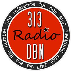 313 DBN Radio logo