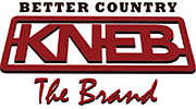 94.1 The Brand 94.1 The Brand logo