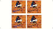 Wall Fly Radio